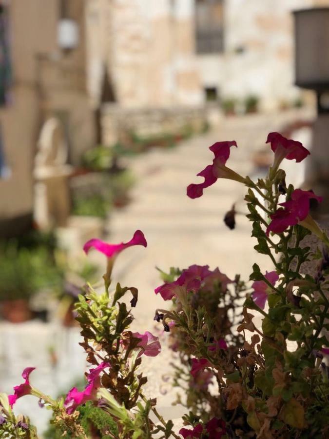 Casa Rural Mirador Hotel Bocairent Exterior photo